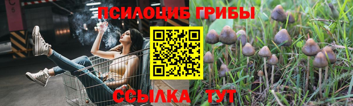 Псилоцибиновые грибы Psilocybe  Вход с VPN  Добрянка  Псилоцибиновые грибы Psilocybe 